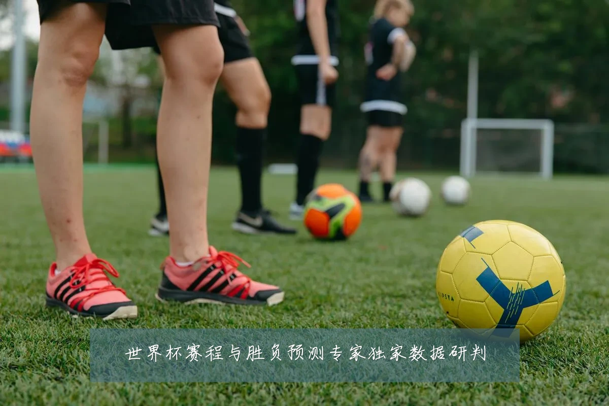 世界杯赛程与胜负预测专家独家数据研判